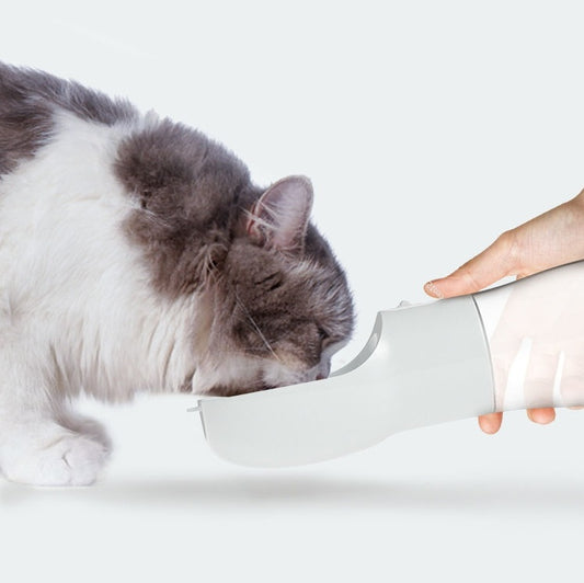 Portable Water Dispenser for your Fur babies